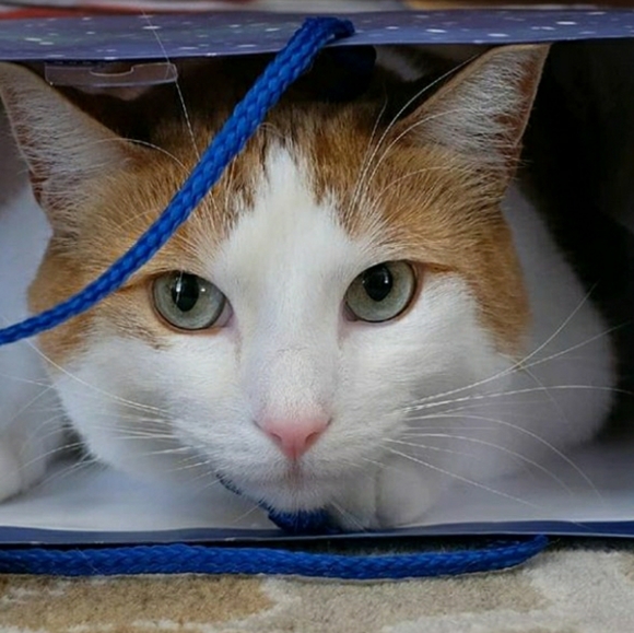 Meet your Posher, Mary - Picture 11 of 14